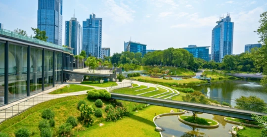 Tour de ville de Chongqing