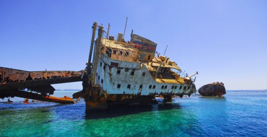 Plongée au Gordon Reef