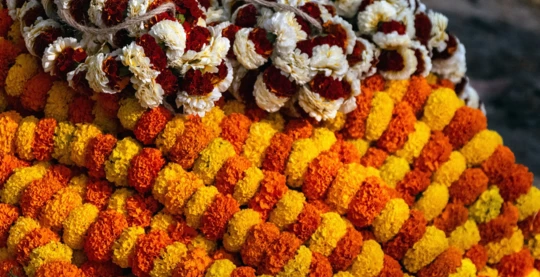 Promenade vers le marché aux fleurs