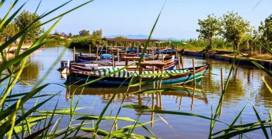 Parc naturel de S'Albufera à Minorque