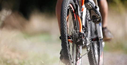 Mountain bike or electric cart tour