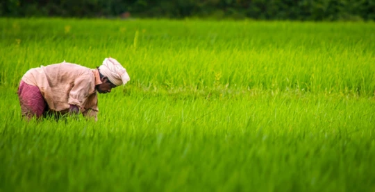 Visite du village de Borsola Singri