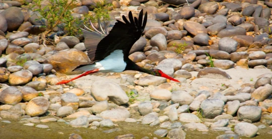 Visite du parc national de Nameri