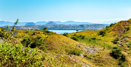 Excursión por la isla de Rinca