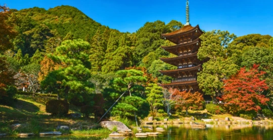 Visite de la pagode à cinq étages du temple Ruriko-ji