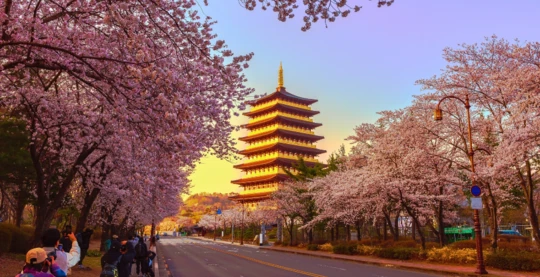 Excursion vers Gyeongju