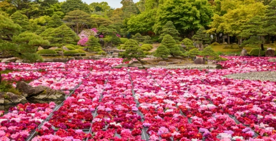 Excursion vers Matsue