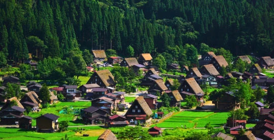 Découverte du village historique de Shirakawa-go