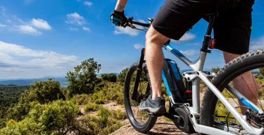 Location de vélos Mljet (depuis le port de Pomena)