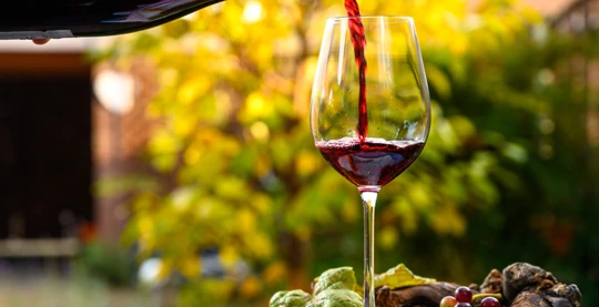 Dégustation de vins (Korcula)