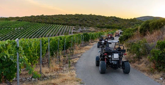 Safari en buggy à Korcula
