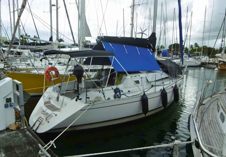 Feeling 326 Pointe à Pitre | Coco