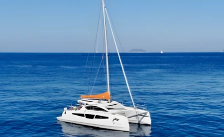 C-Cat 37