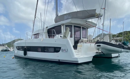 Bali Catsmart