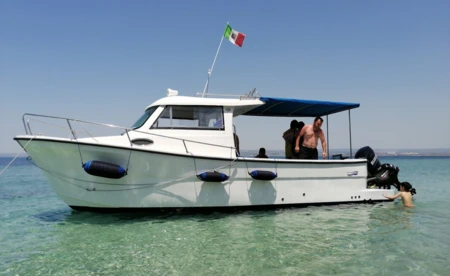 Boston Whaler 285