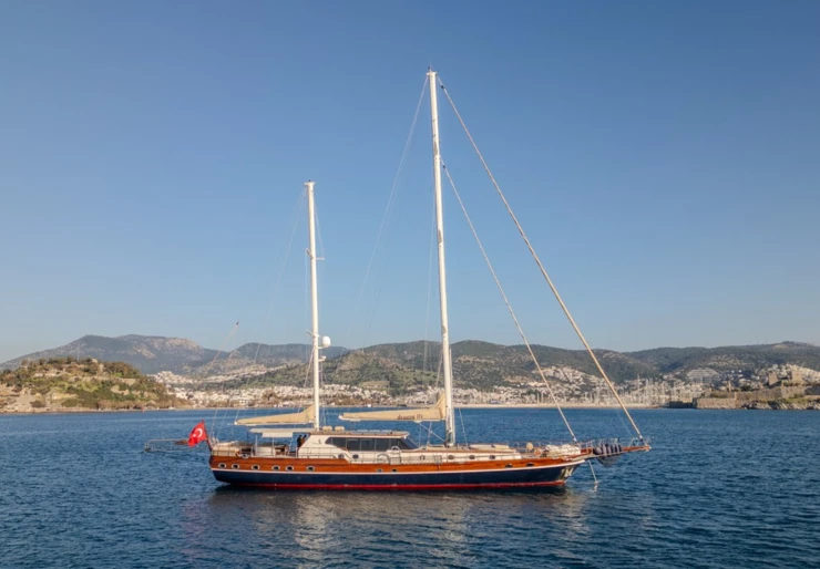 Dragon Fly Marina Milta Marina | DRAGON FLY