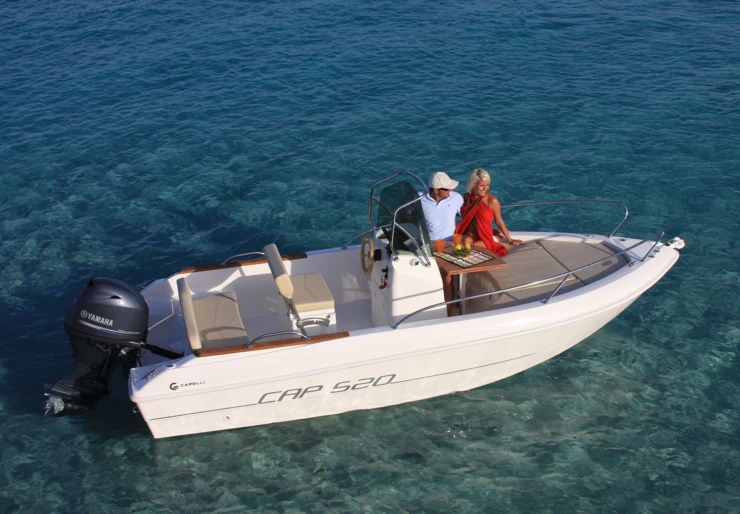 Capelli Cap 520 Roses | 