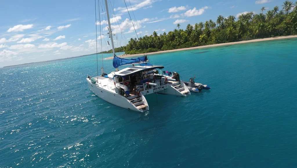 Paraíso insular: exploración de las Seychelles entre tierra y mar