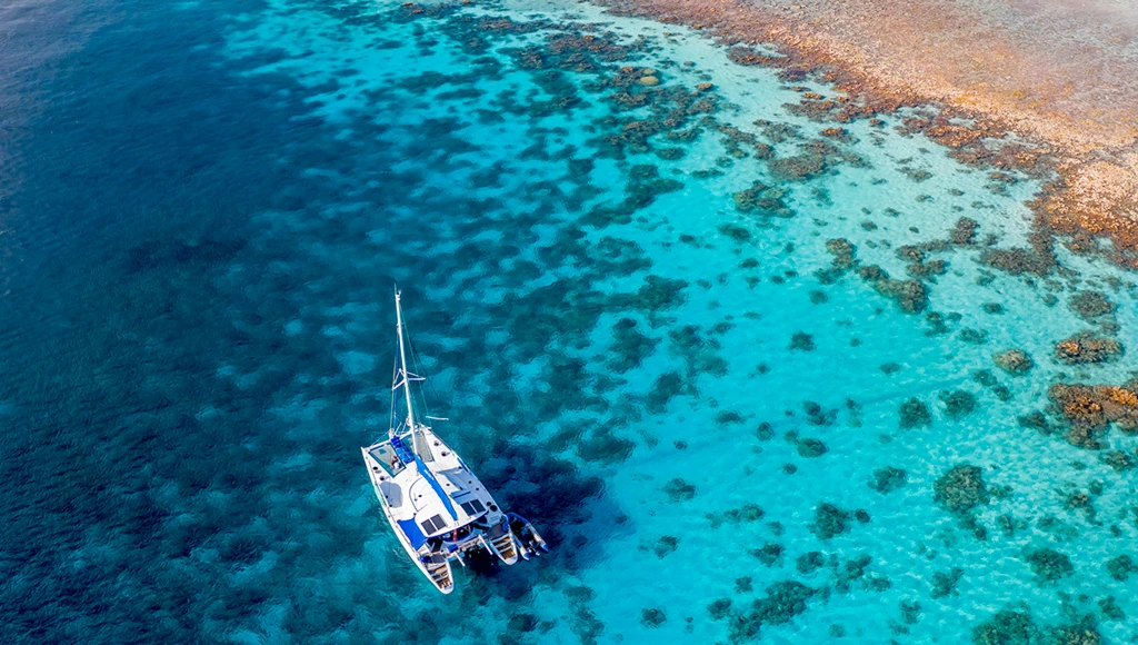 Paraíso insular: exploración de las Seychelles entre tierra y mar