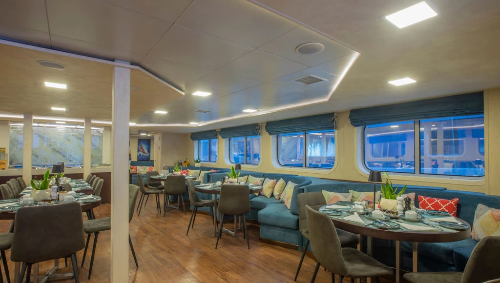 Le Cap-Vert dévoilé : navigation de 8 jours à la découverte du riche patrimoine et des paysages luxuriants de l'archipel