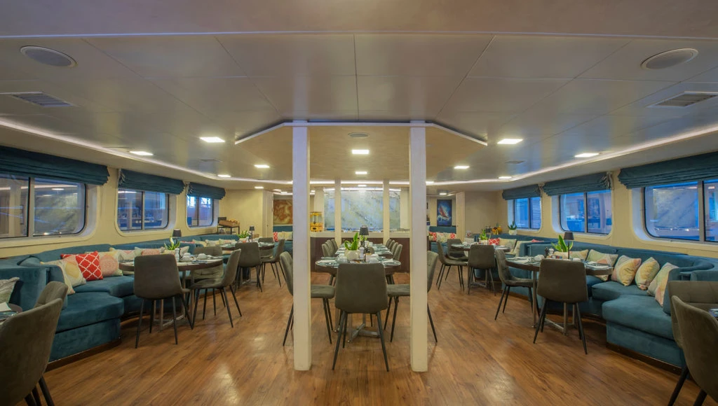 Le Cap-Vert dévoilé : navigation de 8 jours à la découverte du riche patrimoine et des paysages luxuriants de l'archipel