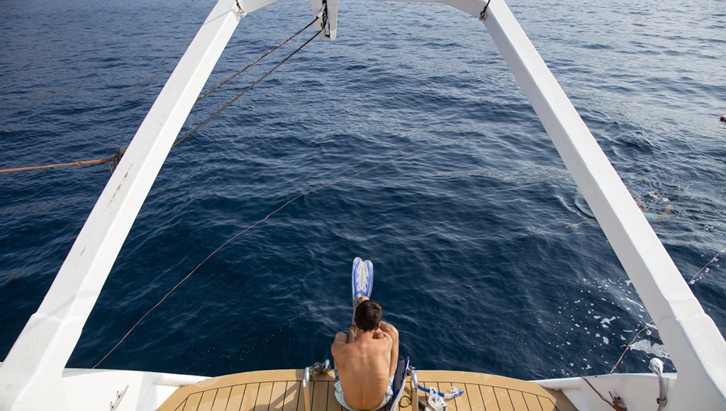 Du Péloponnèse à la mer Égée : voyage épicurien à la découverte des vins et merveilles de la Grèce