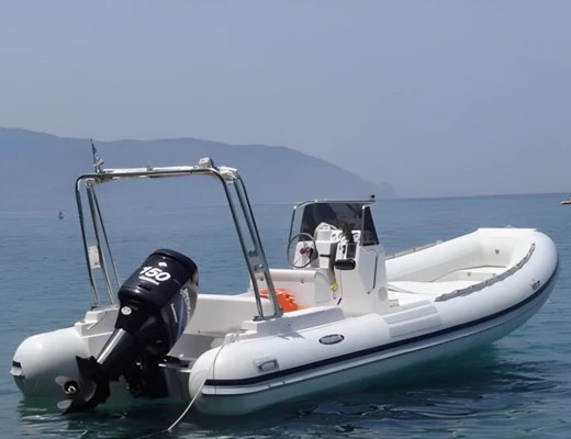 Gommone Predator 6.60