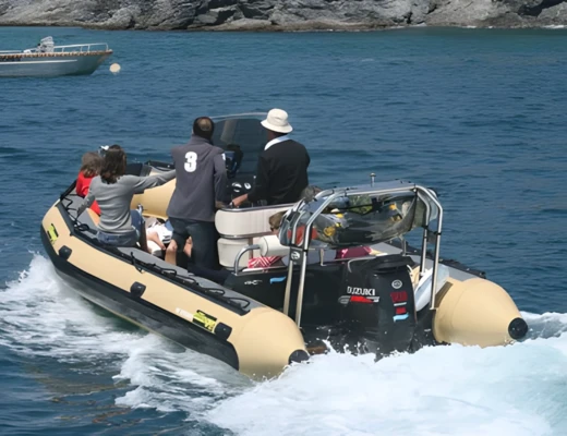 Sillinger 580 Silverline