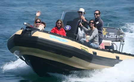 Sillinger 580 Silverline