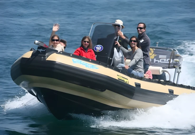 Sillinger 580 Silverline La Trinité-sur-Mer | 