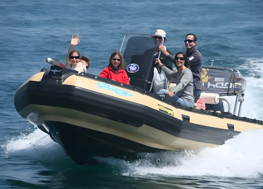 Sillinger 580 Silverline