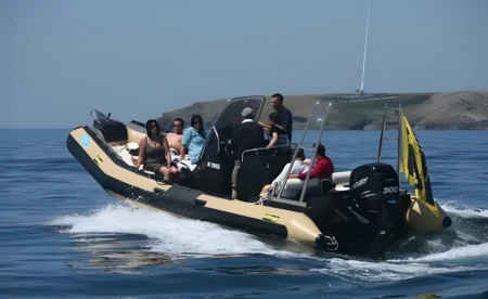 Sillinger 765 Silverline