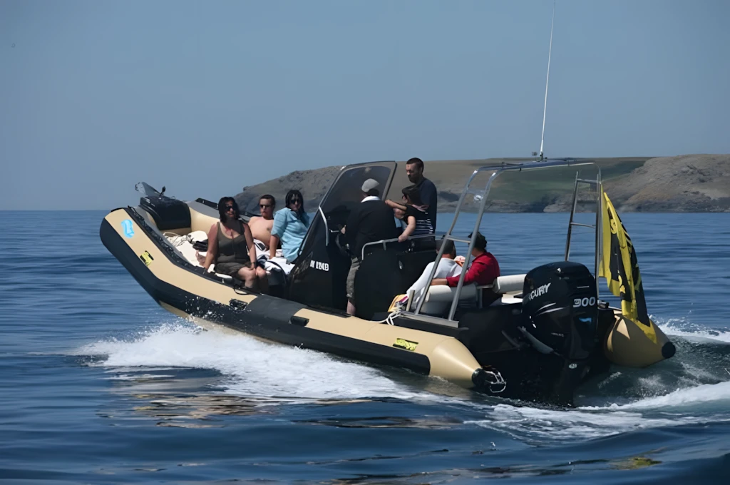 Sillinger 765 Silverline