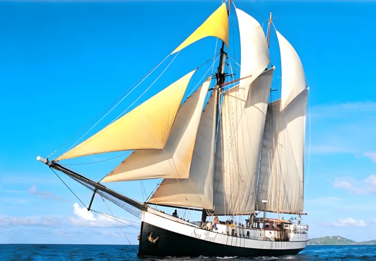 Sea Pearl Port Victoria | 