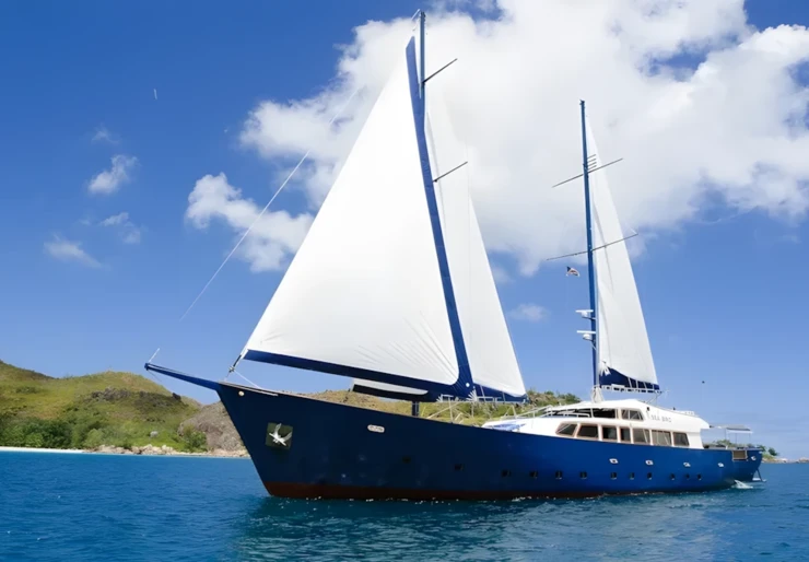 Sea Bird Victoria Harbor | 