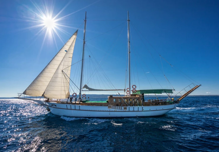 Alisa Stobrec | Alisa