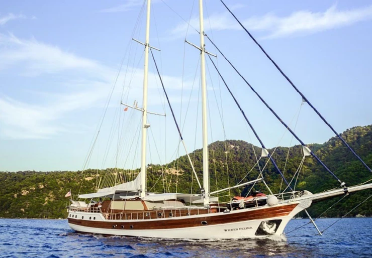 Wicked Felina Marina Milta Marina | 34-5 Wicked Felina