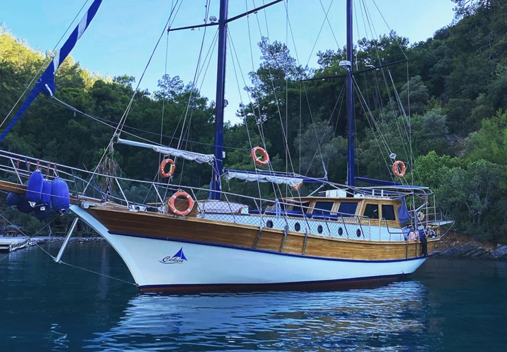 Cekin Marina Milta Marina | 19-3  CEKIN