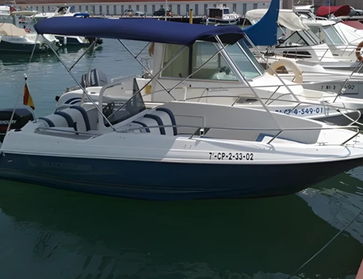 Quicksilver Commander 500