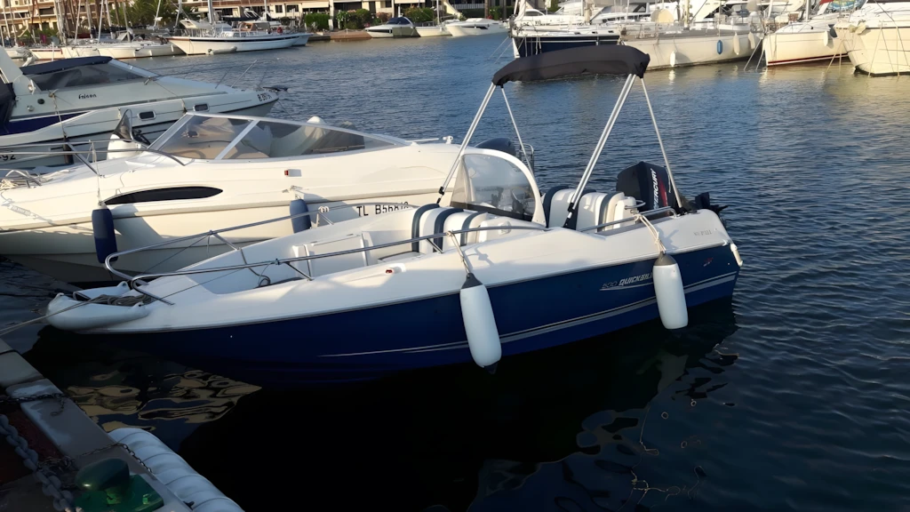 Quicksilver Commander 500