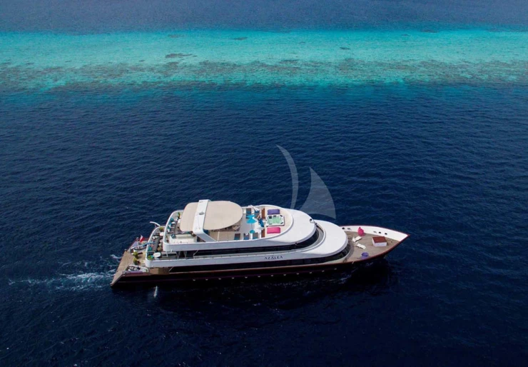 Azalea Sardinien | AZALEA