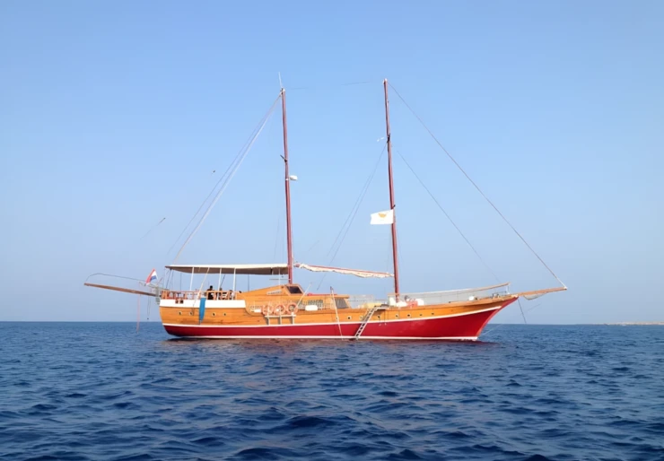 Panormitis Larnaca |