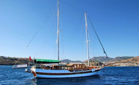 M/S Hera