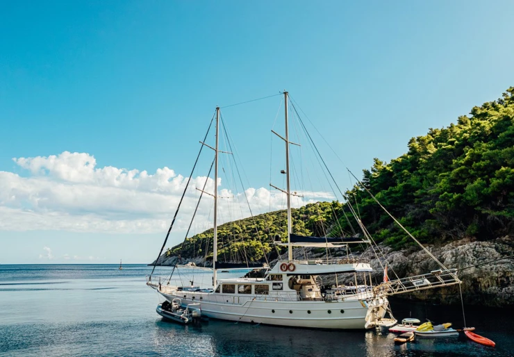 Maske Hramina | MASKE