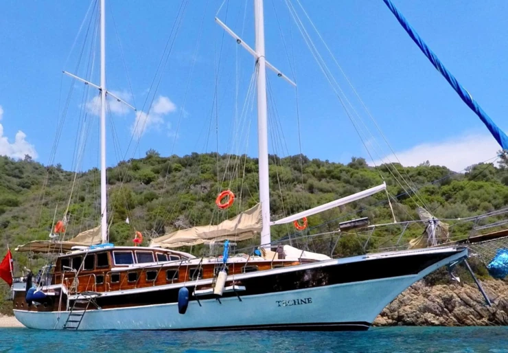 Techne Marina Milta Marina | TECHNE