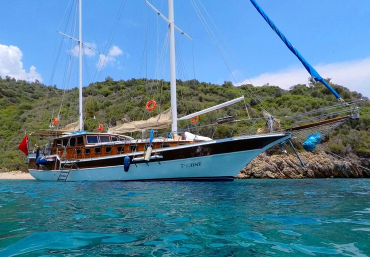 Techne Marina Milta Marina | TECHNE