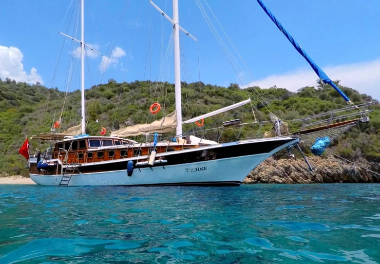 Techne Marina Milta Marina | TECHNE