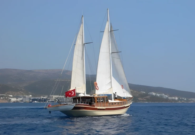 Remo Marina Milta Marina | 20-3  REMO