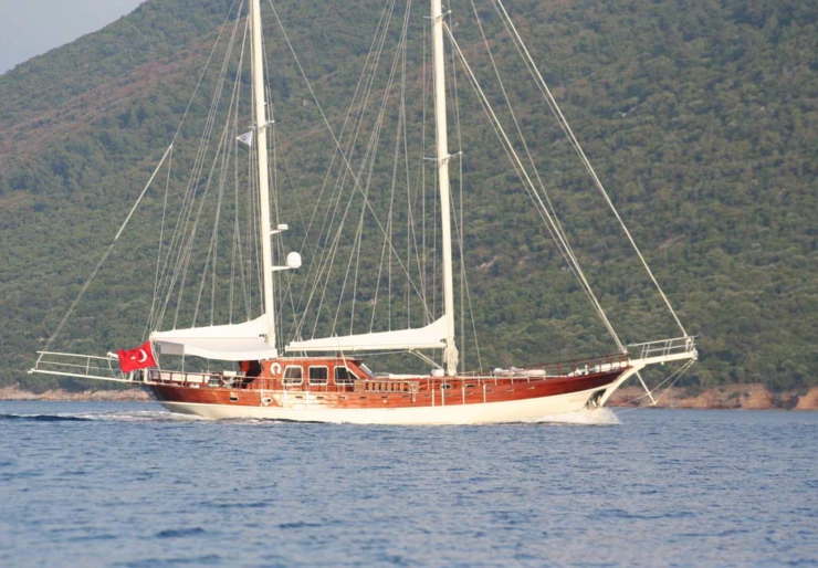 White Goose Turquía | 