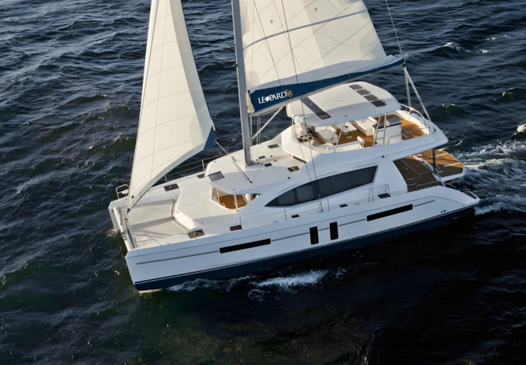 Leopard 58 Mexique | PROMISCUOUS